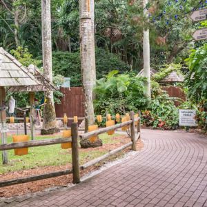 Sarasota Jungle Gardens