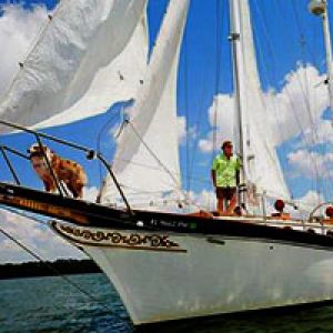 Catherine's Florida Charters