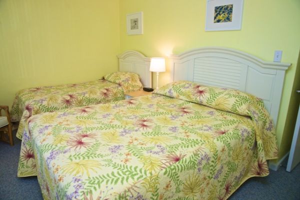 2 Bedroom / 1 Bath