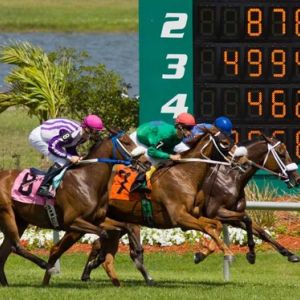 Tampa Bay Downs