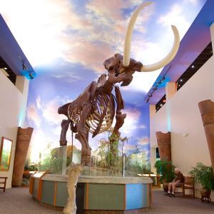 South Florida Museum