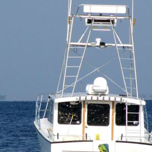 Bay Fishing Tours